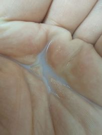 그린티 세라마이드 미스트