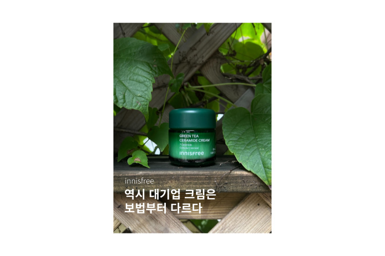 서진
