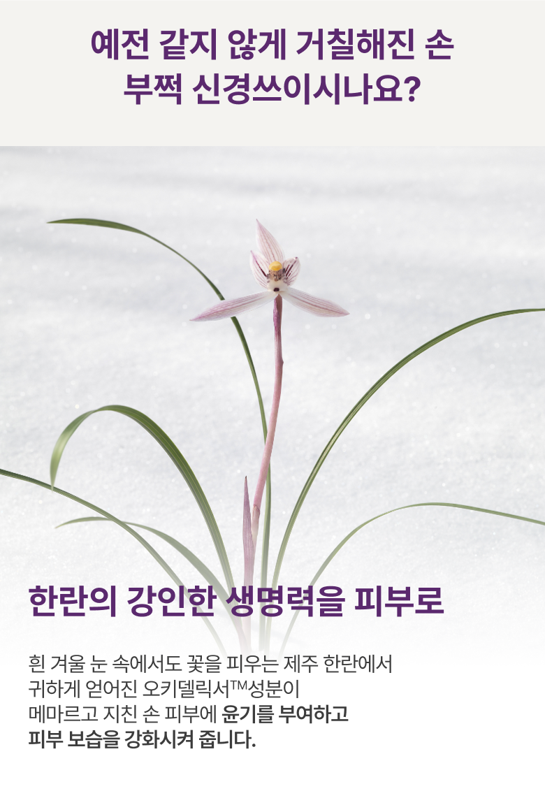 이미지3