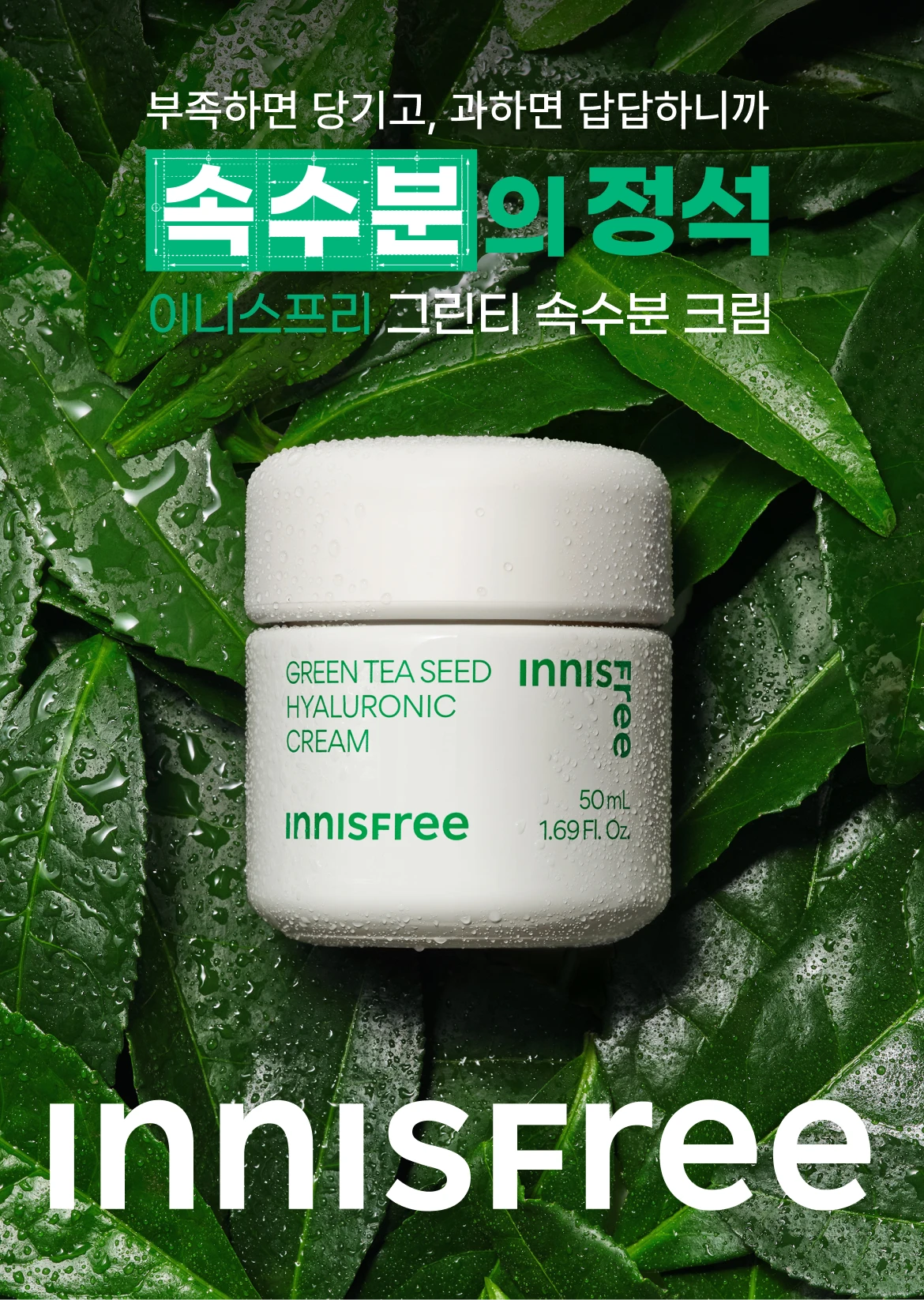 속수분의 정석