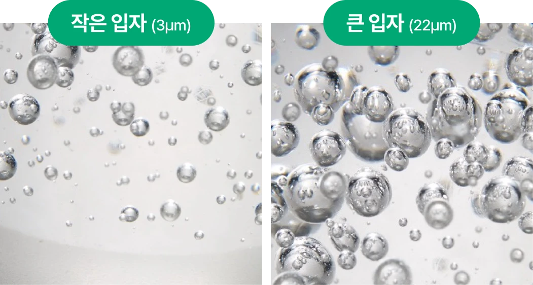 작은집자 큰입자