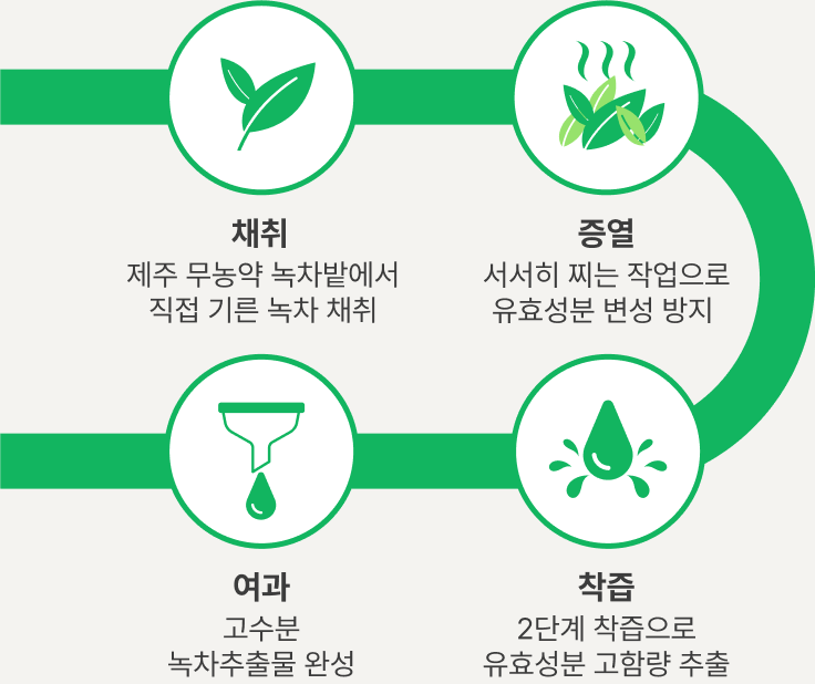 채취-제주 유기농 녹차밭에서 직접 기른 녹차 채취 증열-서서히 찌는 작업으로 유효성분 변성 방지 여과-고수분 녹차추출물 완성 착즙-2단계 착즙으로 유효성분 고함량 추출