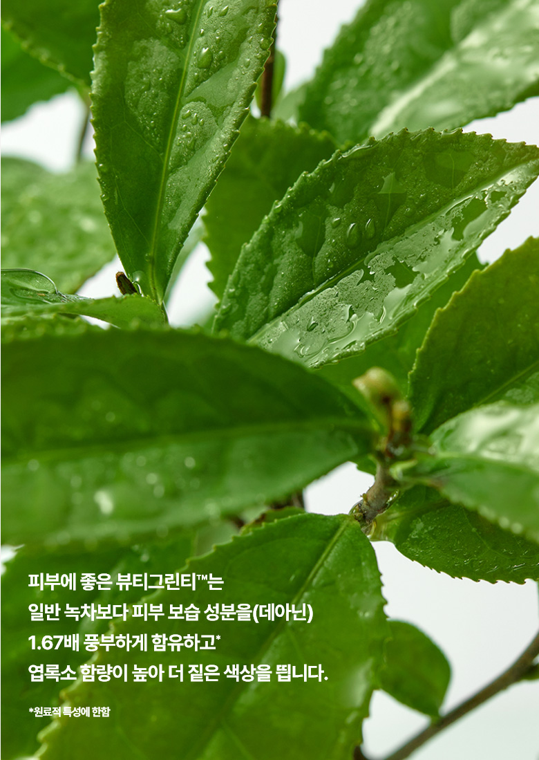 이미지15